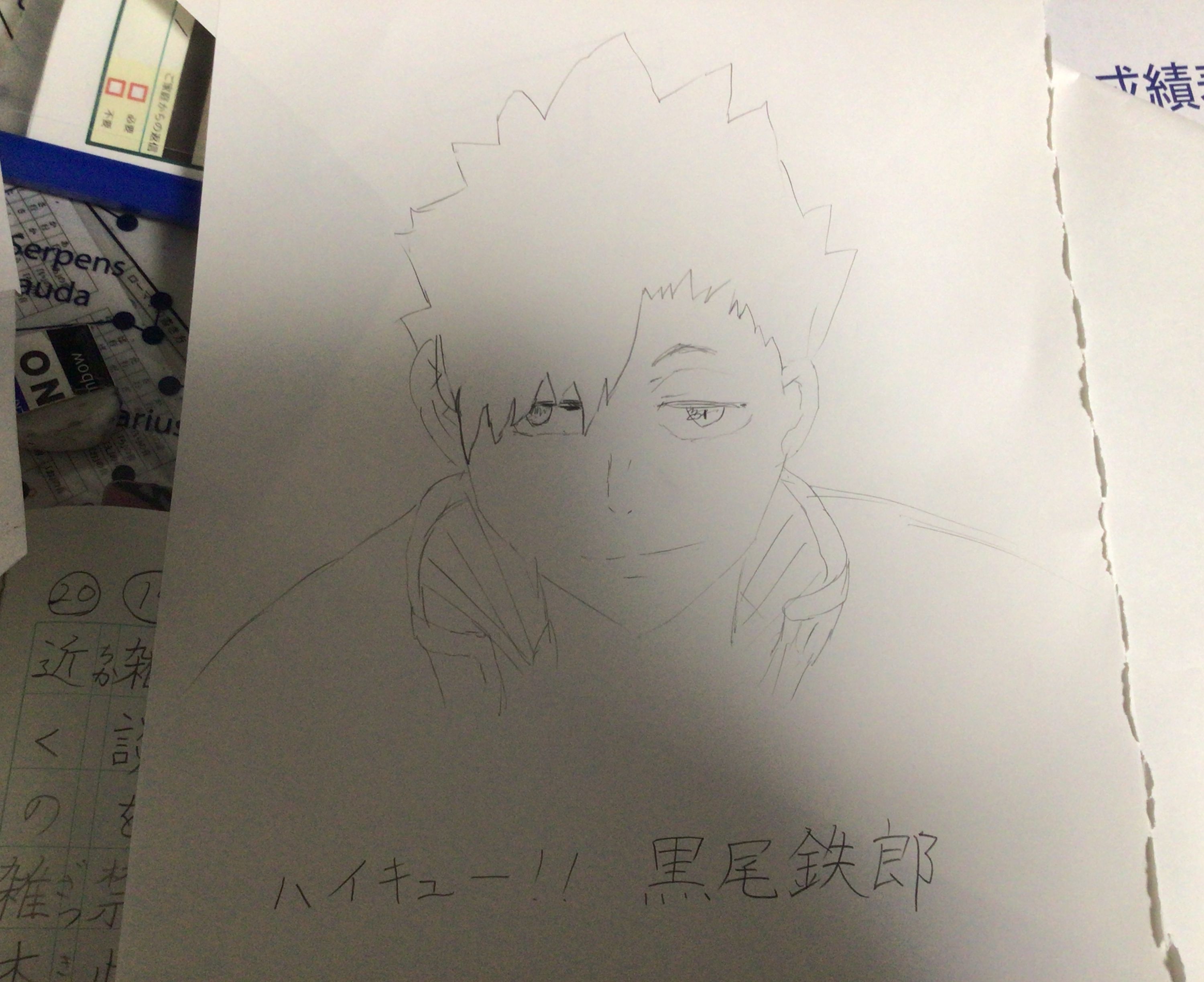 JPG 3264x2448 1456.5kb